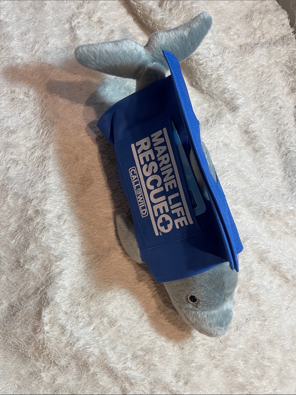 Marine life rescue call for the wild bottlenose, dolphin flush